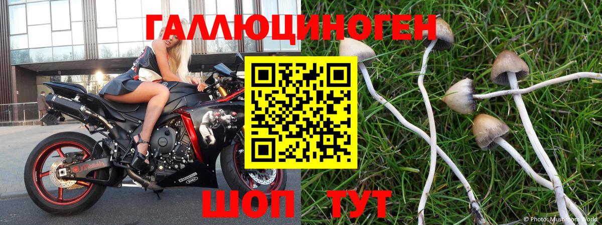 Коркино  Галлюциногенные грибы прущие грибы  Вход с VPN 